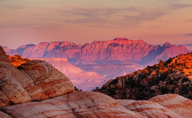 Parc national de Zion. Beaux paysages naturels sans intérêt.