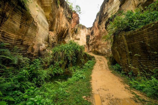 Parc naturel extérieur avec de l'eau de l'étang dans l'ancien lieu de travail de la colline minière de calcaire