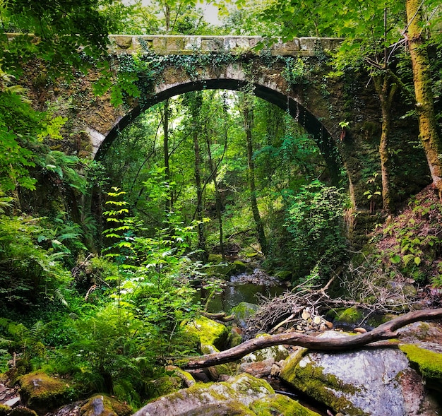 Parc Naturel des Fragas de Eume