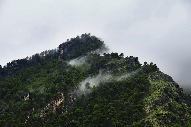 Parc naturel et national d'andalousie espagne