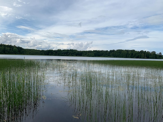 Photo parc naturel pittoresque avec lac d'eau dans le parc naturel national lieu de repos en forêt