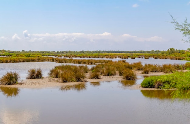 Parc naturel régional de la Camargue