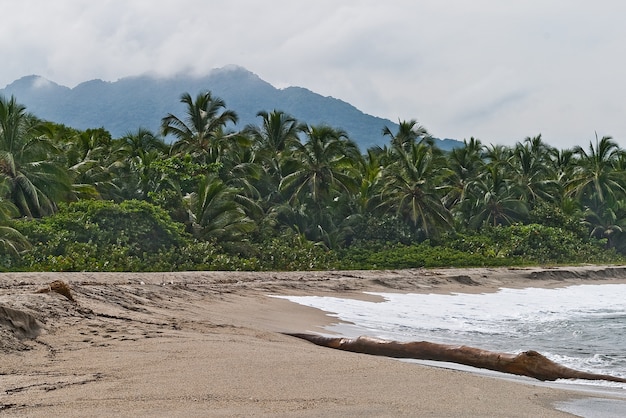 Parc naturel de Santa Marta Colombie