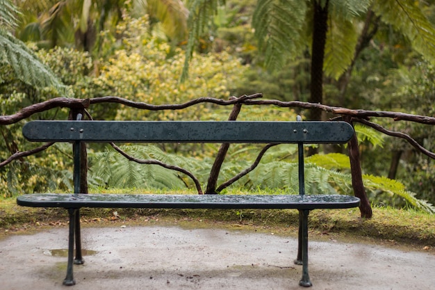 Parc naturel de Terra Nostra