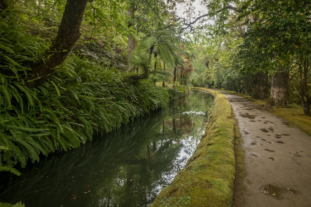 Parc naturel de Terra Nostra