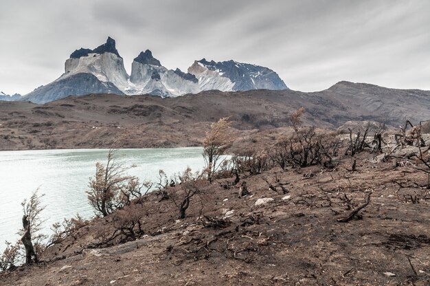 Parc naturel Torres del Paine Chili Patagonie