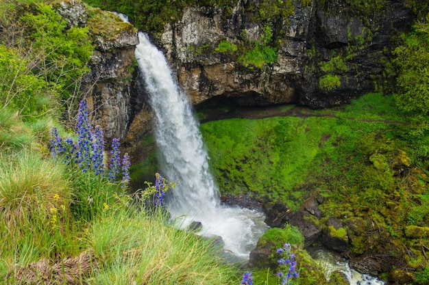 Parc Naturel des Volcans d'Auvergne