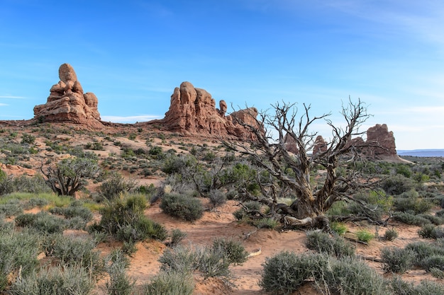 Le parc Navajo Monument Valley