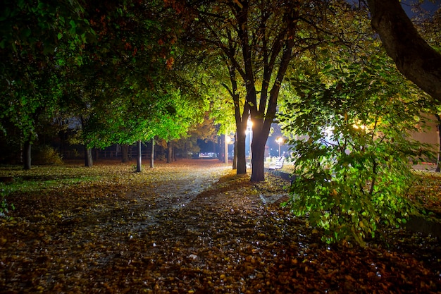 Parc de nuit avec lanternes et feuilles tombées