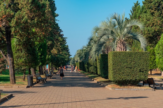 Parc avec palmiers et autres arbres sur le quai de Batoumi