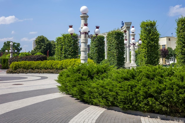 Parc paysager avec buissons verts