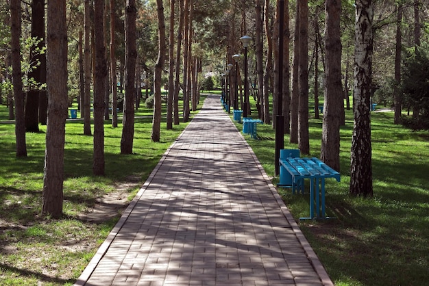 Parc des présidents d'Almaty dans la ville