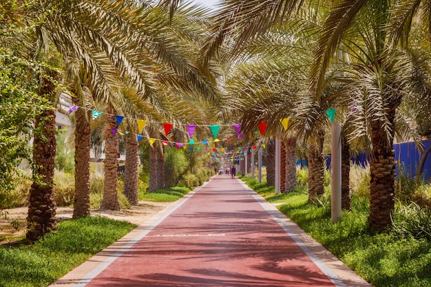 Parc de promenade et de sport à Palm Jumeirah à Dubaï