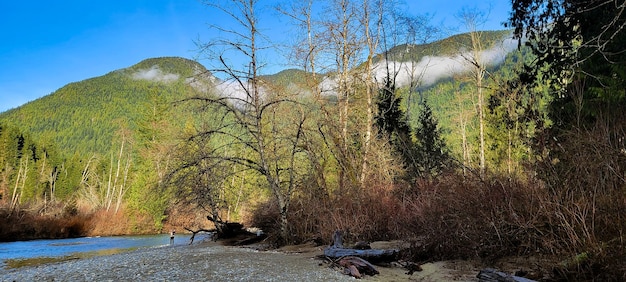 Parc provincial Golden Ears