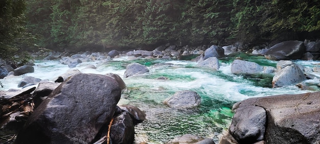 Parc provincial Golden Ears