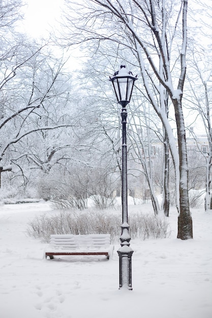 Parc public de lanterne en hiver dans la neige