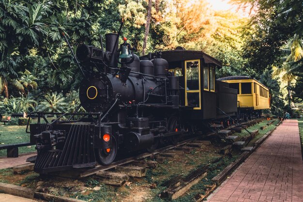 Photo le parc swinford de la ceiba atlantida au honduras le concept de voyage