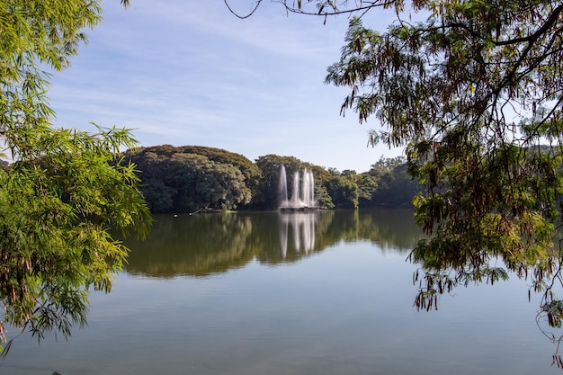 Parc Taquaral à Campinas, So Paulo. beaux arbres et nature luxuriante