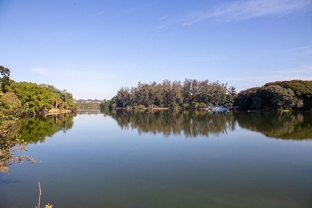 Parc Taquaral à Campinas, So Paulo. beaux arbres et nature luxuriante