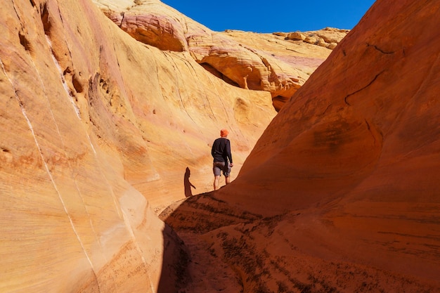 Parc d'État de la Vallée de Feu, Nevada, États-Unis