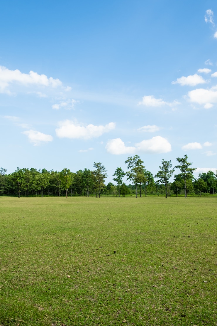 Photo parc avec terrain d&#39;herbe verte
