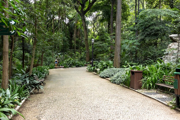 Parc Trianon sur l'avenue Paulista à Sao Paulo SP Brésil Avenue principale de la ville