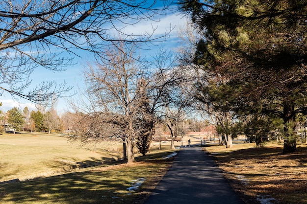 Parc typiquement américain de banlieue fin janvier.