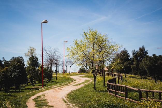 Parc urbain avec chemin de terre et clôtures en bois avec des bâtiments en arrière-plan Espace de copie