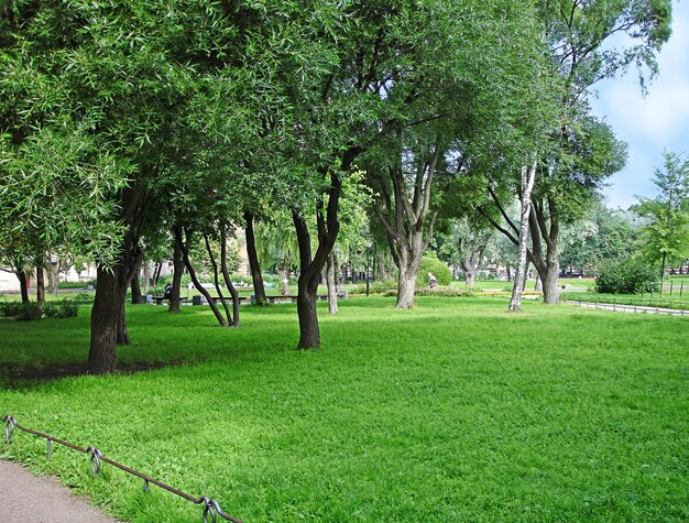 Parc verdoyant avec arbres et herbe