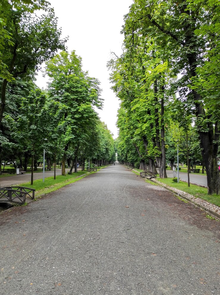 Photo parc verdoyant à cluj-napoca, roumanie