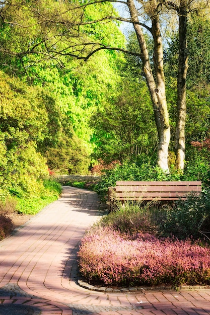 Parc verdoyant du printemps