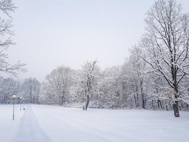 un parc vide dans la neige par un froid matin d'hiver