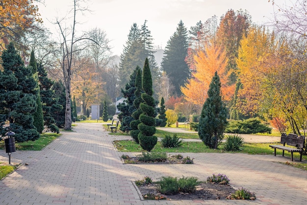 Photo parc de la ville d'automne après-midi d'automne ensoleillé aménagement paysager avec thuya à feuilles persistantes dans un parc avec décoration ...