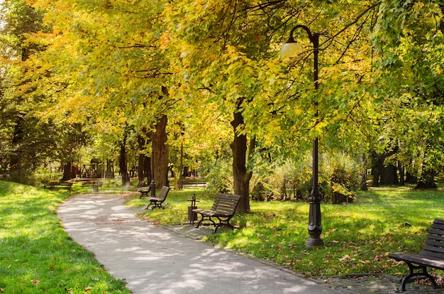 Parc de la ville en automne paysage d'automne beau parc d'automne par temps ensoleillé