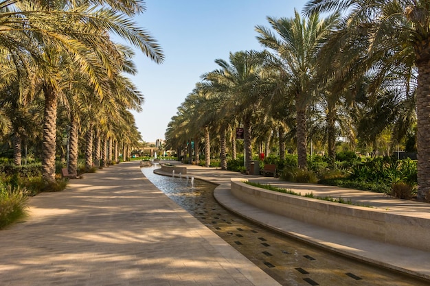 Parc de la ville avec jardin botanique de palmiers exotiques à Abu Dhabi UAE