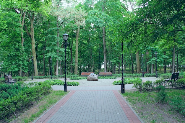 Parc de la ville avec une pierre commémorative et des chemins avec beaucoup d'arbres verts Parc d'été avec un lieu de repos