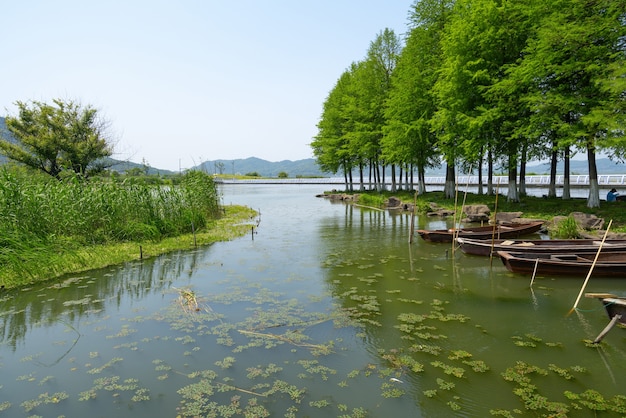 Parc de la zone humide du lac Dongqian, Ningbo, Chine