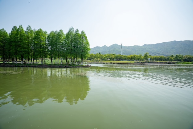 Parc des zones humides du lac Dongqian, Ningbo, Chine