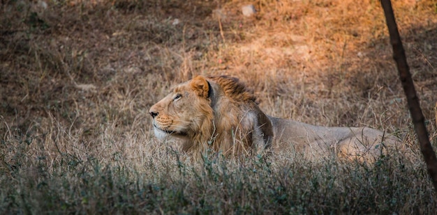 Parc Zoologique National New Delhi Inde