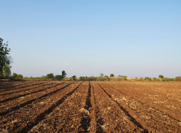 Parcelles agricoles et ciel du soir.