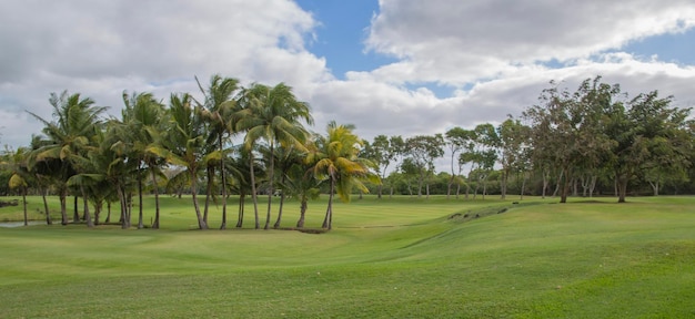 parcours de golf avec des palmiers à l'Ile Maurice