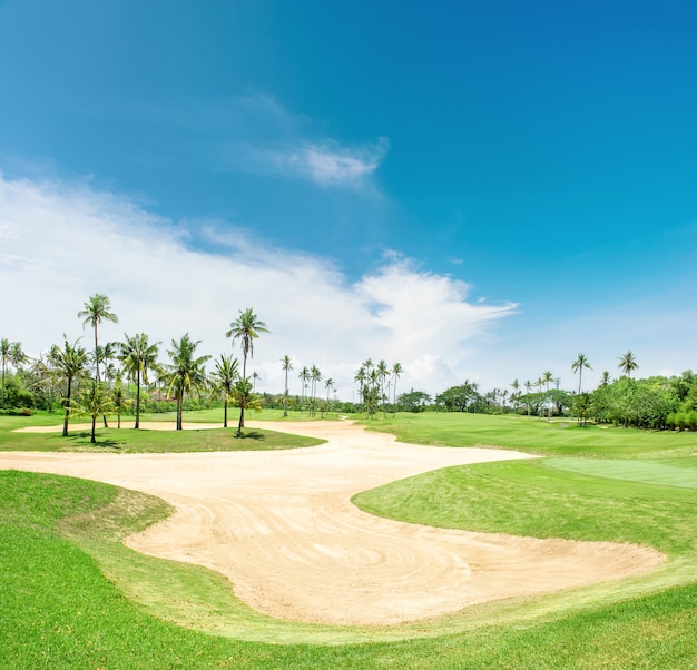 Parcours de golf Piège à sable palmiers