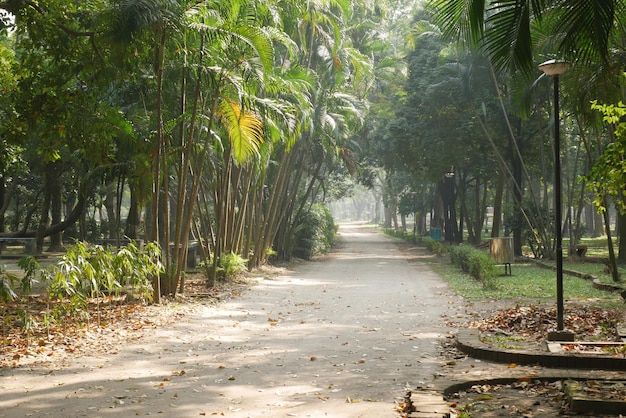 Parcs urbains avec promenade tôt le matin