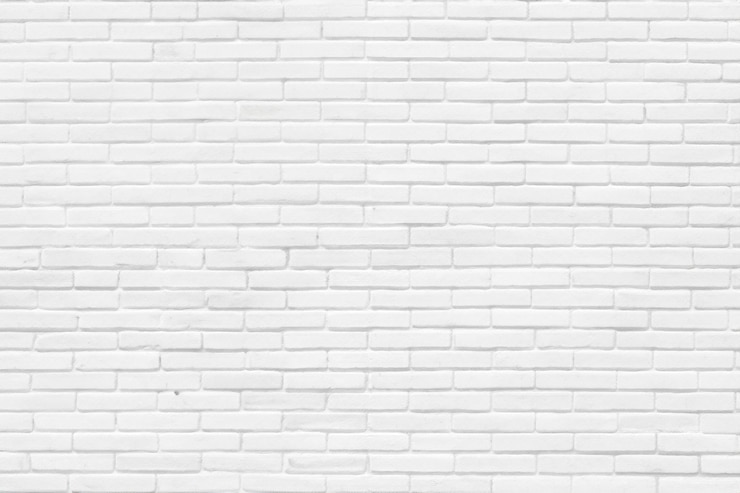 Photo paré de ladrillos blanche 2