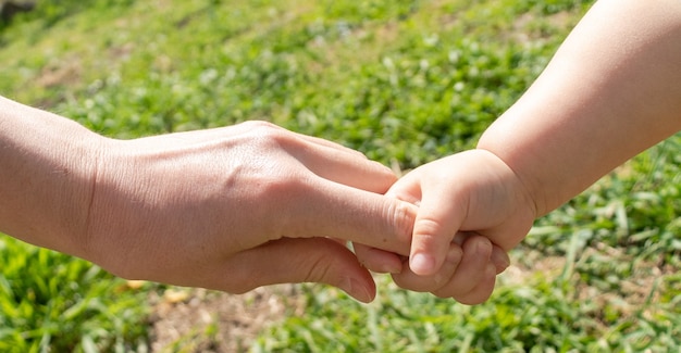 Un parent tient la main d'un petit enfant. L'enfant tient la main de sa mère. Le concept de la Journée des enfants . Fête des enfants, Fête des mères