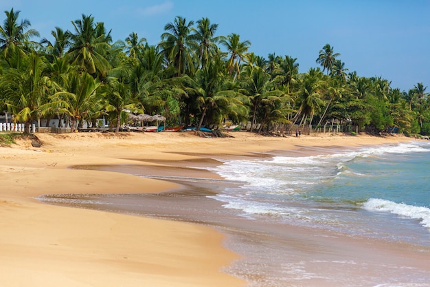 La parfaite plage déserte en bord de mer sur l'île.