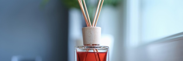 Parfum de bâtons de bambou pour la pièce floue