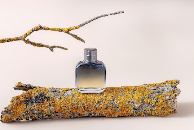 Parfum dans une écorce de flacon pulvérisateur et branches d'un arbre avec des lichens sur fond beige