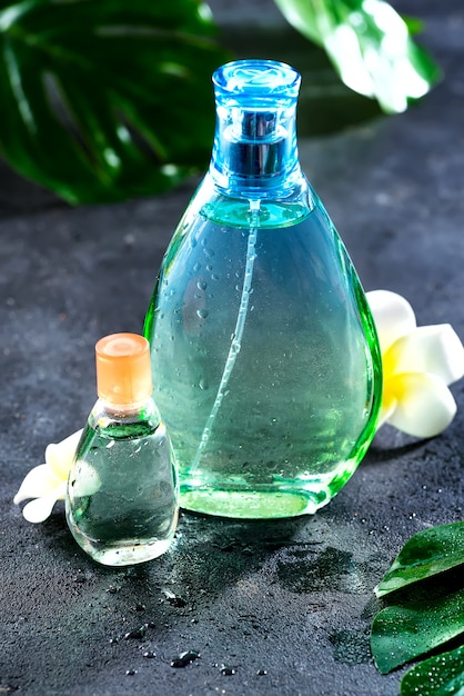 Parfum de femme dans une belle bouteille avec des fleurs et des feuilles sur un béton noir avec la lumière du soleil