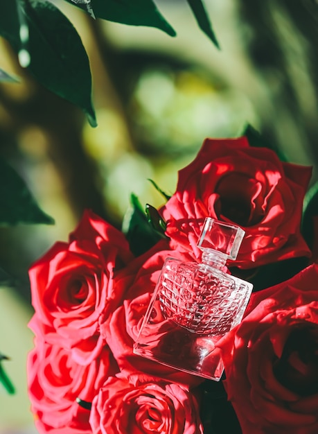 Parfum de parfum girly et parfumerie de roses rouges comme fond flatlay de beauté de cadeau de luxe et pr ...